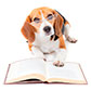 Libros sobre perros