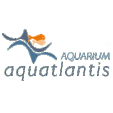 Aquatlantis para reptiles