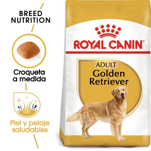 cual es la mejor comida para un cachorro golden retriever