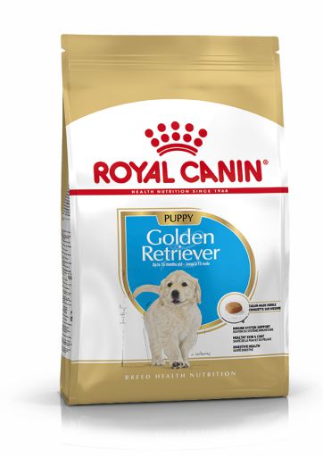 Golden Retriever Puppy Pienso para Cachorro de Raza