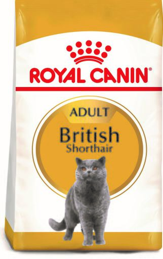 British Shorthair Pienso para Gato Adulto de Raza