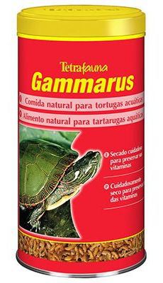 Gammarus (Gambitas)