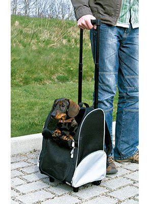 Trolley mochila para mascotas