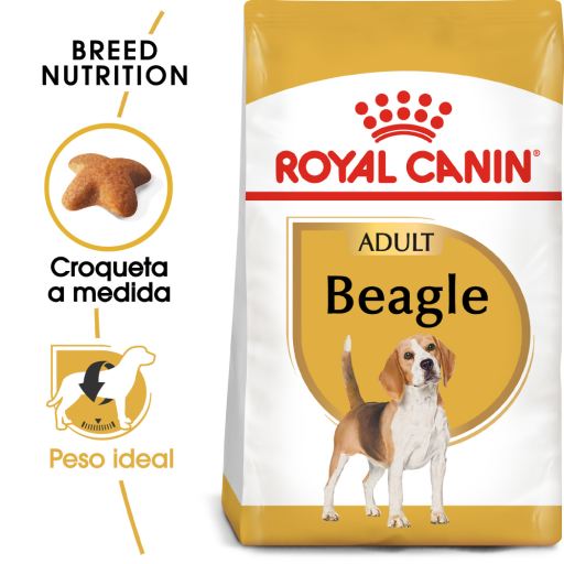 Beagle Adult Pienso para Perro Adulto de Raza