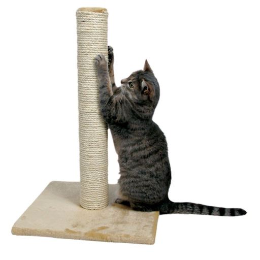 Poste rascador para gatos Parla 62 cm