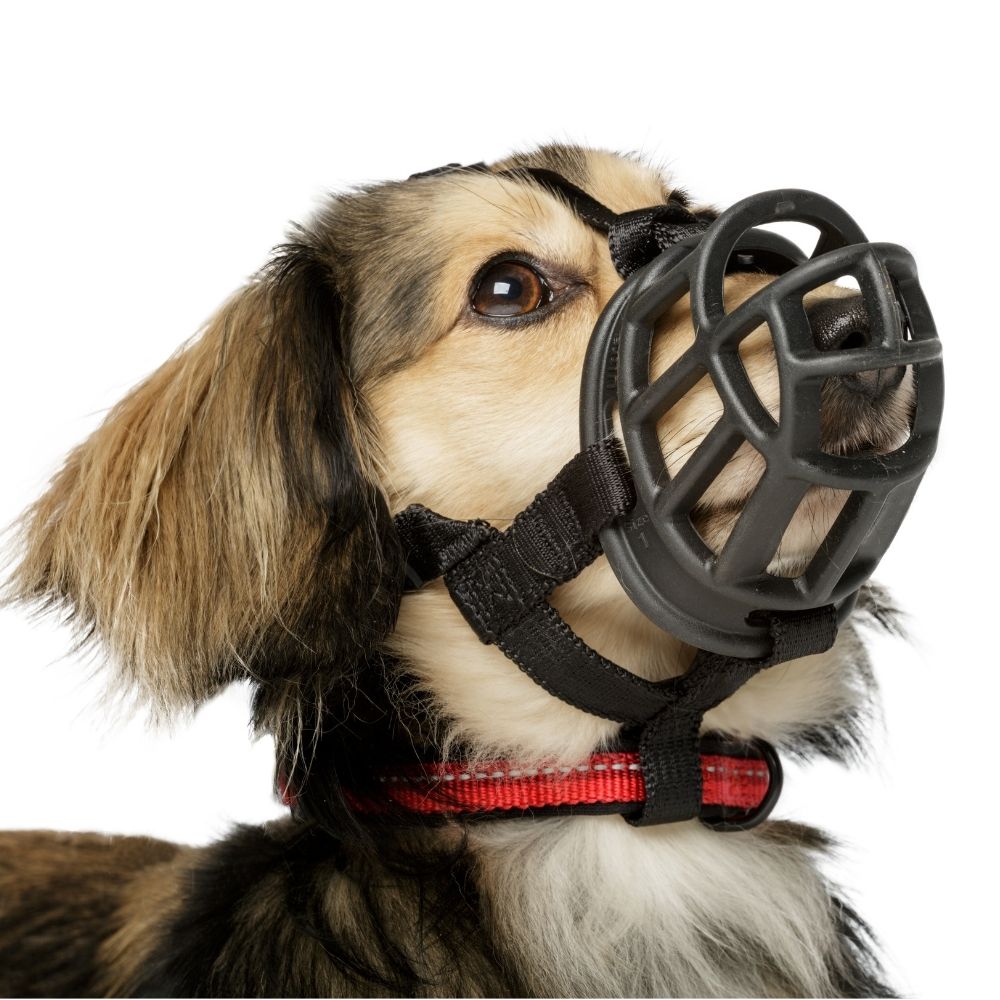 The Company Of Animals Baskerville Ultra Muzzle