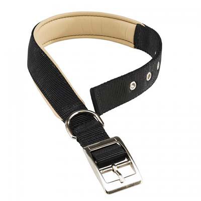 Collar para perros Daytona 25 mm corto Collar para perros Daytona 25 mm corto