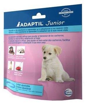Collar Junior Collar Junior