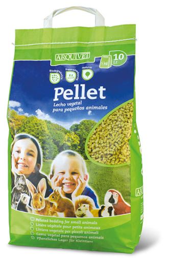 Petlet Petlet