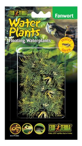 Plantes Flotantes para Reptiles