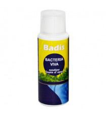 Bacteria Viva Bacteria Viva
