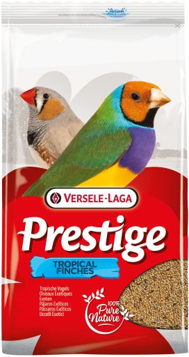 Tropical Finches Prestige para P&aacute;jaros Ex&oacute;ticos