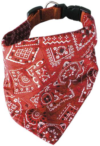 Pañuelo Collar Pañuelo Collar