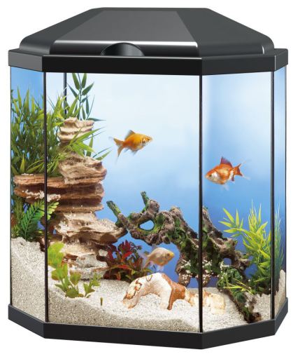 Aquario 30 Light Negro- 20x40cm Aquario 30 Light Negro- 20x40cm