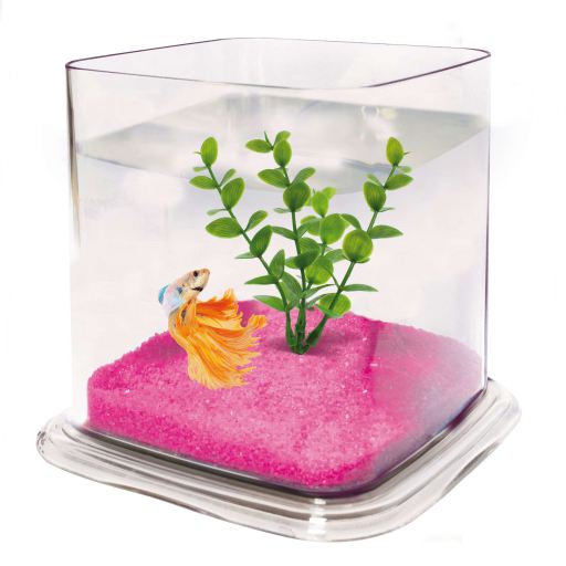 Betta Paradise 1.9 L Transparente Betta Paradise 1.9 L Transparente