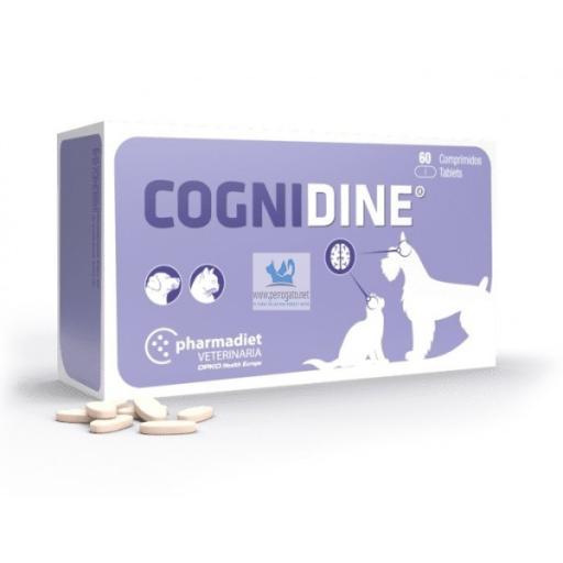 Cognidine 60 Comprimidos
