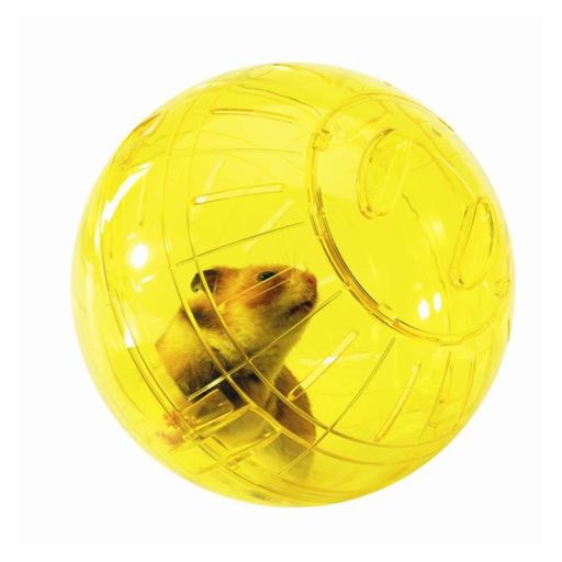 Runner large hamster Runner large hamster