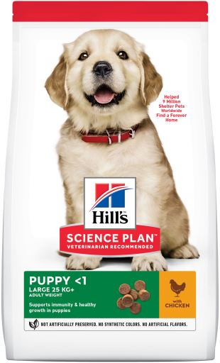 Science Plan Puppy Large Pollo