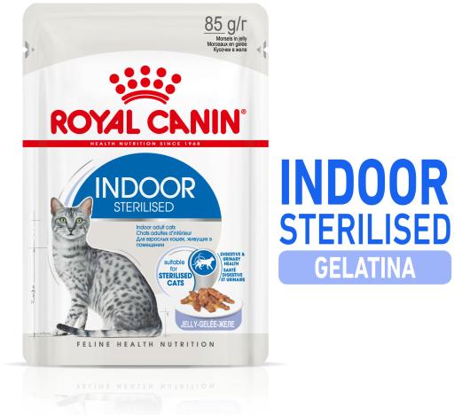 Indoor Gelatina Indoor Gelatina