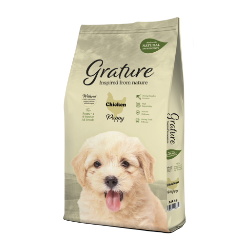 Puppy Pollo Puppy Pollo